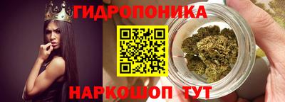 эйфоретик Коммунар