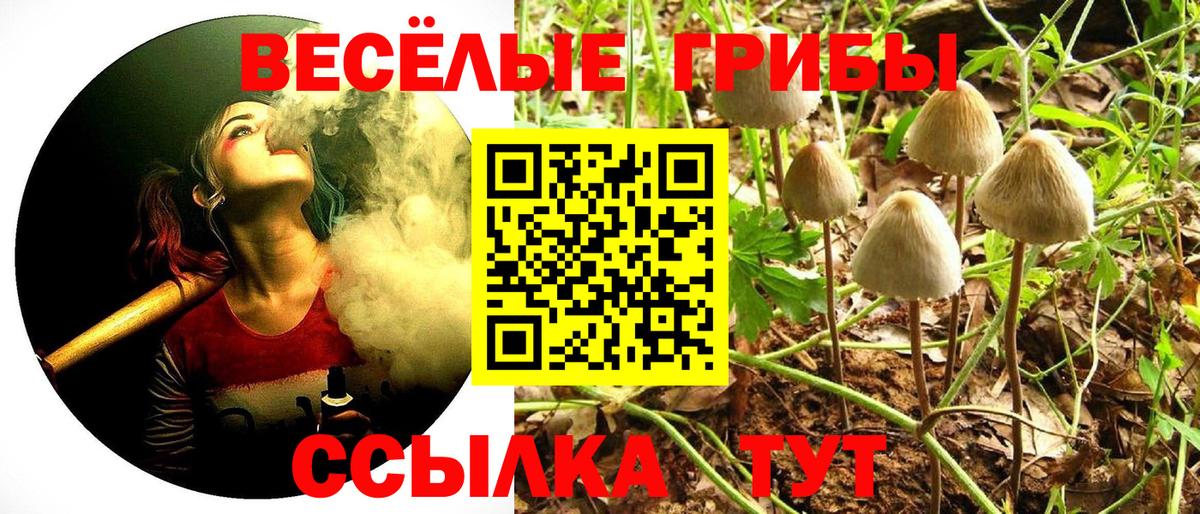 Галлюциногенные грибы Psilocybine cubensis  Вход с VPN  Липецк  Псилоцибиновые грибы GOLDEN TEACHER 